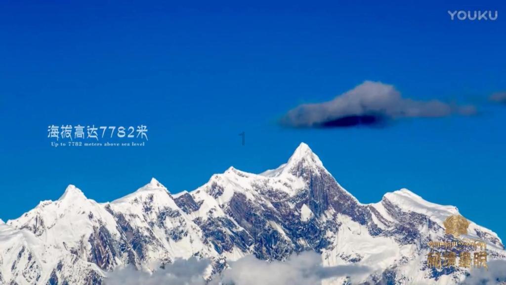 18个产地联动,100场主题活动,“年画进万家·幸福中国年”2024年春节系列活动在潍坊启动