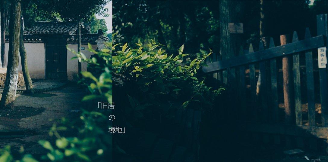 爱吃的鱼