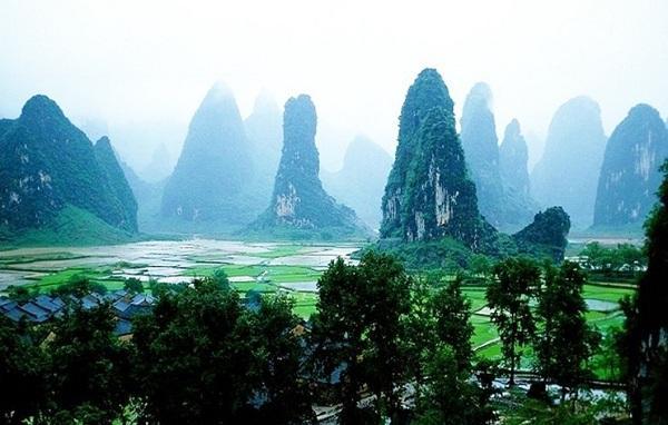 植物大战僵尸19