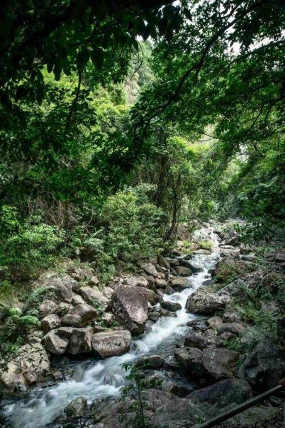 矿工打地鼠